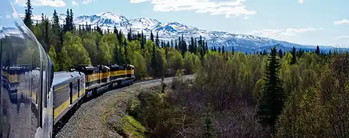 Alaska CruiseTours