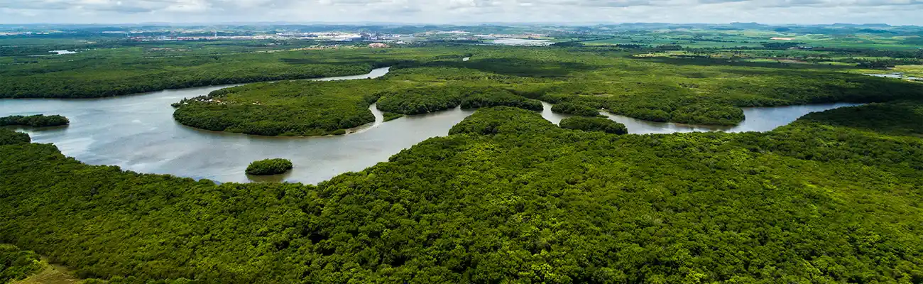 Amazon River Cruise