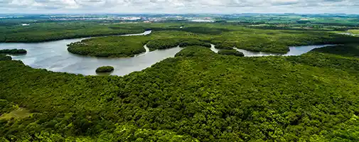 Amazon River Cruises