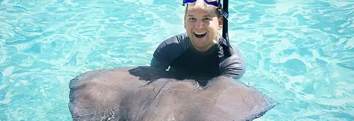 Swimming with the Stingrays