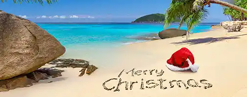 Christmas Cruises