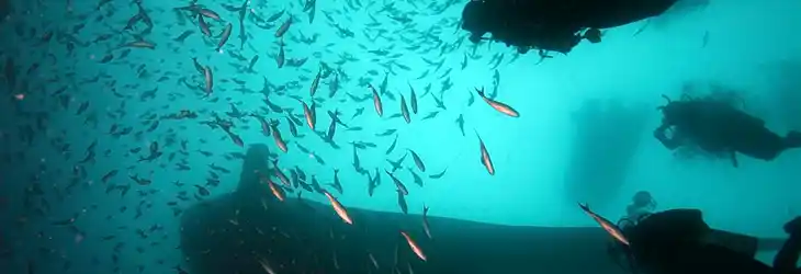 Incredible Diving and Snorkeling