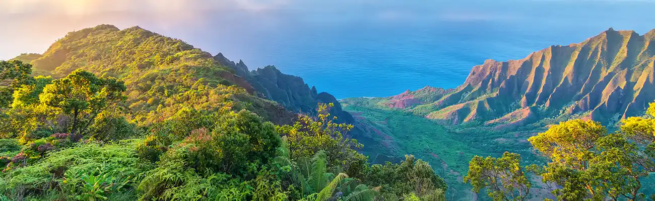 Hawaii Cruises