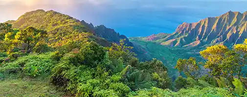 Hawaii Cruises
