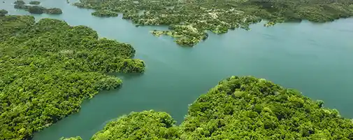 Panama Canal Cruises