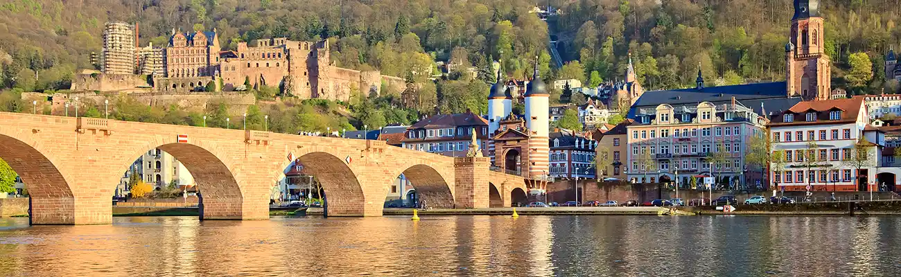 Rhine River Cruises