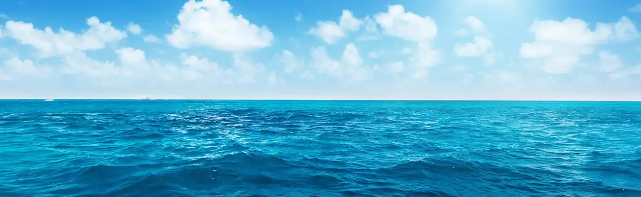 Transatlantic Cruise