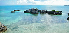 Bermuda Cruise