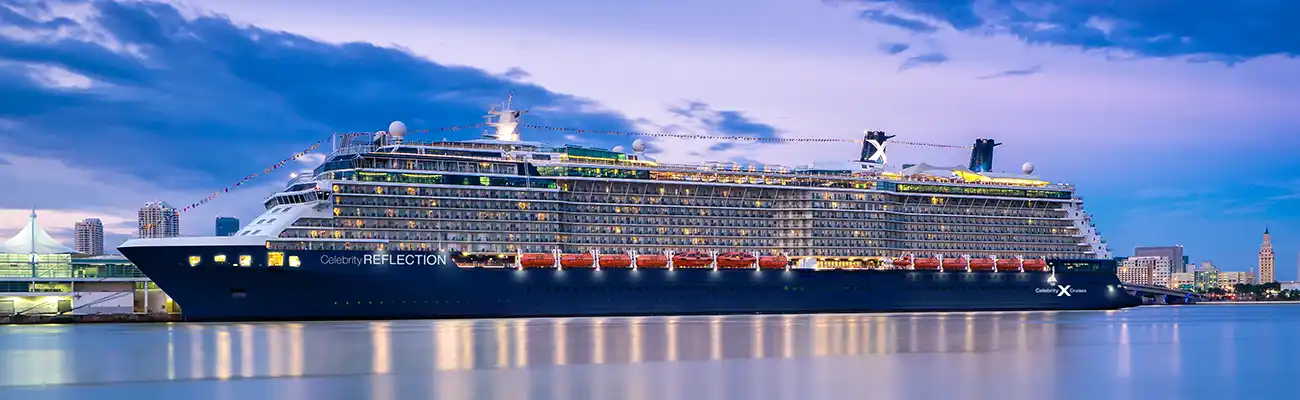 Celebrity Reflection