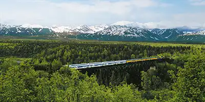 McKinley Explorer Train