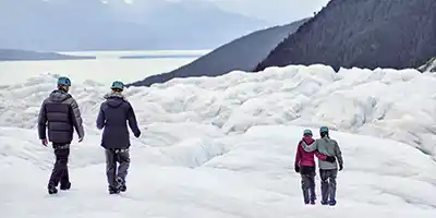 Glacier Excursion