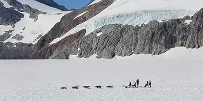 Dog Sledding