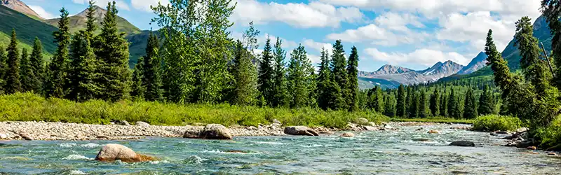 Talkeetna