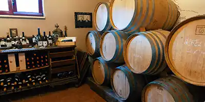 Olive Factory & Winery