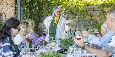 Karnas Vineyard culinary experience in Bodrum