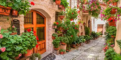Mediterranean Neighborhood