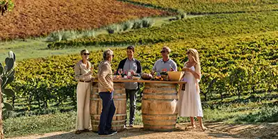 Palermo vineyard culinary experience