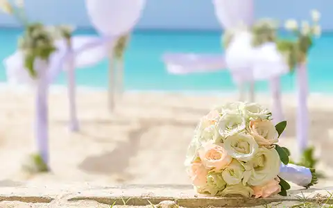 Honeymoon, Wedding & Anniversary Cruises
